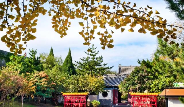 此时的你，被美到了！