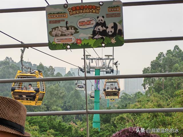参观广州长隆野生动物园，全程感觉眼累手累腿不累