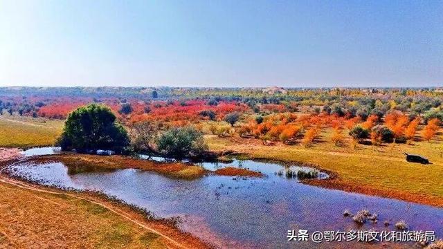 内蒙古杭锦旗：湿地秋景惹人醉