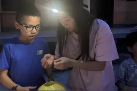 到南山植物园 与暗夜精灵约会吧图片