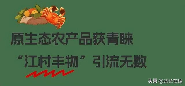 三大特色IP“出圈” 这个假期七都“火力”全开