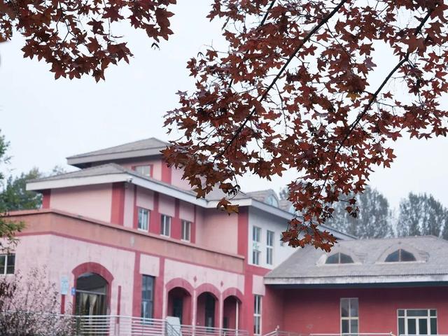 在顺义这些宝藏公园邂逅斑斓秋景——