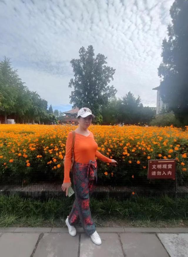 王林平随笔《菊花又开了》