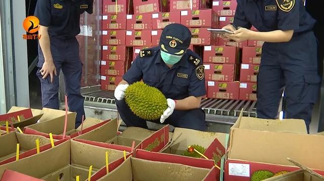 失去中国市场后，大量水果烂地里卖不出去，如今开始后悔得罪中国