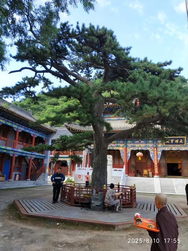 在五台山度过了一个清凉之夜