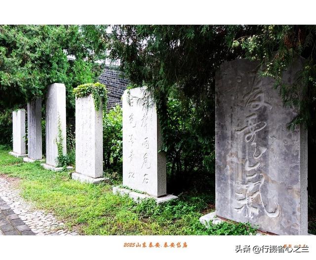 山东行游影记（315）—泰安岱庙（十一）