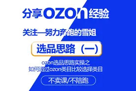ozon选品思路实操之如何通过ozon类目比较选择类目图片