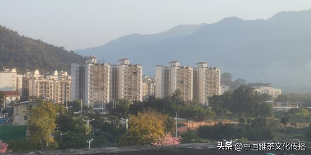 米易康养，相约暖阳