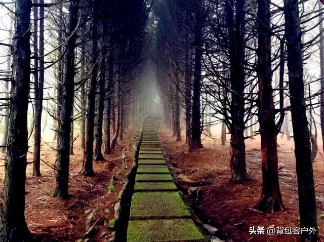 徒步“华东第一虐”——千八线：一场考验灵魂的登山朝圣