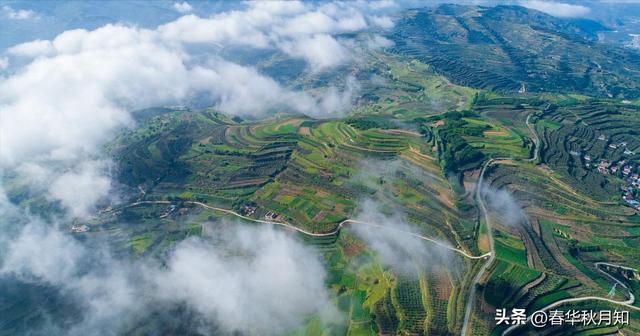 一箱来自远方的兰州冻梨，引发半个世纪的回忆