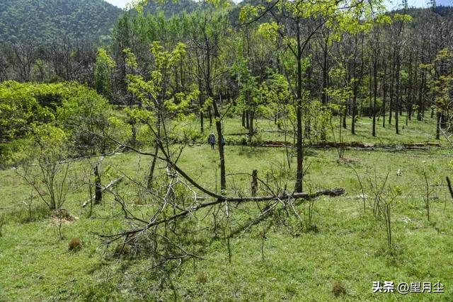 《太行山徒步记：从西走到南》免费的挂壁公路，悠悠然的崖边行走
