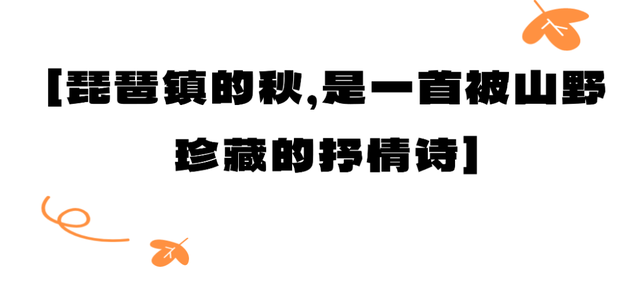 让我再看你一眼🧡