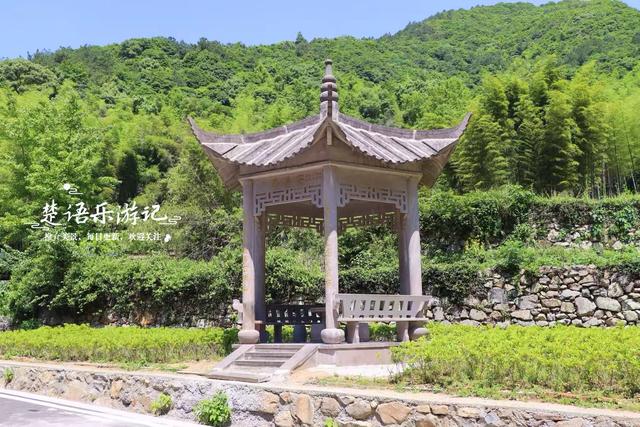浙江宁波的竹林双古道，被誉为治愈系徒步胜地，景色宜人值得游玩