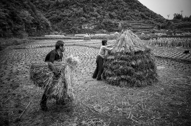 95年村里来了个“白虎”姑娘，没人敢娶，我把她领回了家