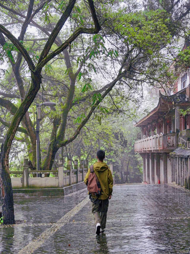 成都地铁直达！被低估的小众徒步秘境，10元斋饭好吃吃到撑