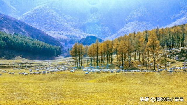 不去内蒙古大草原，你永远不知道它有多绝！