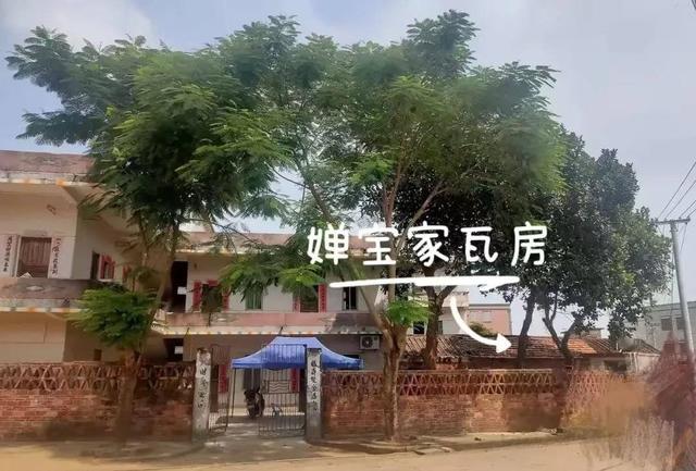 全红婵爸妈也没想到，别墅刚封顶，一家人就走上了大衣哥的老路