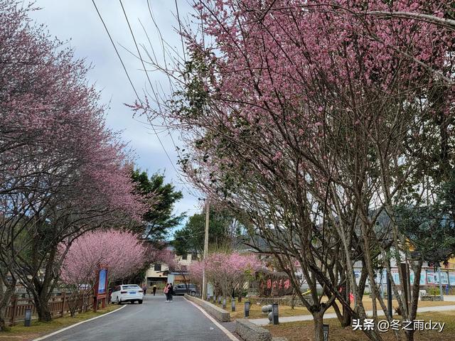 土楼拾光③:梅林古镇（2025.2.11 漳州·南靖）