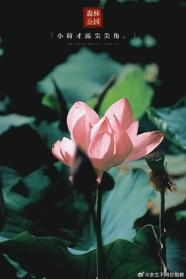 2025四季巡礼！100位寻美客邀你共绘最美泉城图鉴