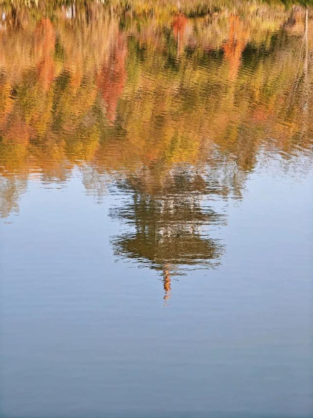 悦·遵义 | 美到犯规！播州这里藏着一个“油画世界”，随手一拍就是大片！