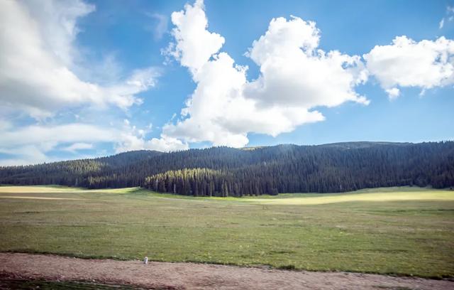这辈子一定要去一次伊犁,就像童话世界,来了就不想走