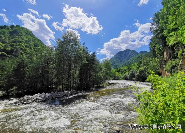 进山纳凉来黑河国家森林公园，让你逃离酷暑，一键降温！