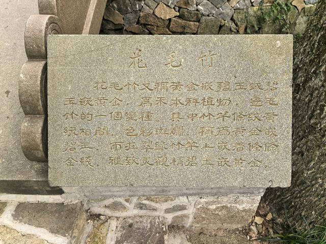 浙江湖州市德清县莫干山国家风景名胜区游记（下）