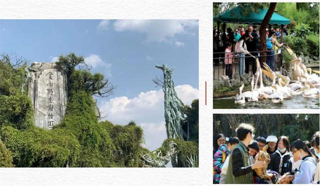 国庆回顾 | 你绝对想不到，这些景区活动有多会玩