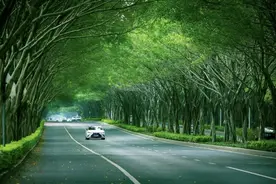 南宁没有大网红，也红到发紫！图片