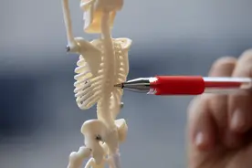 别再睡硬板床了！这份小贴士帮你选出“健康床”图片