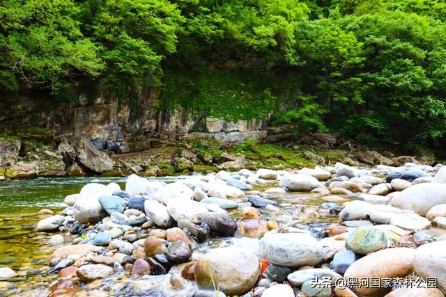 初秋限定美景，在黑河，听见了风与水的私语