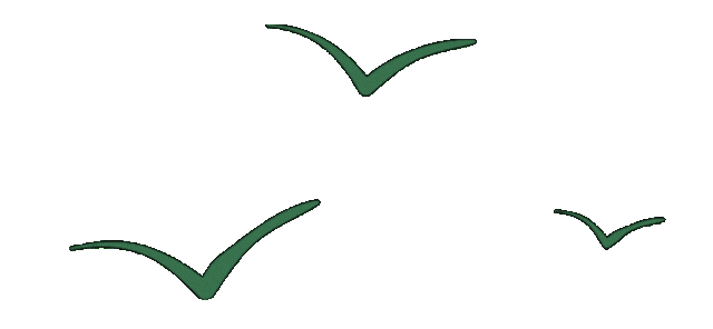 沙漠踏雪，只在武汉，最佳观赏期到了！