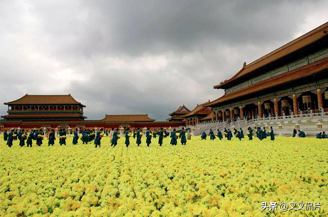 给周杰伦所有电影排个名，《刺陵》垫底，《头文字D》仅排第2