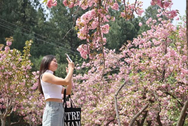 2026年来开封，这份时间表请收好！