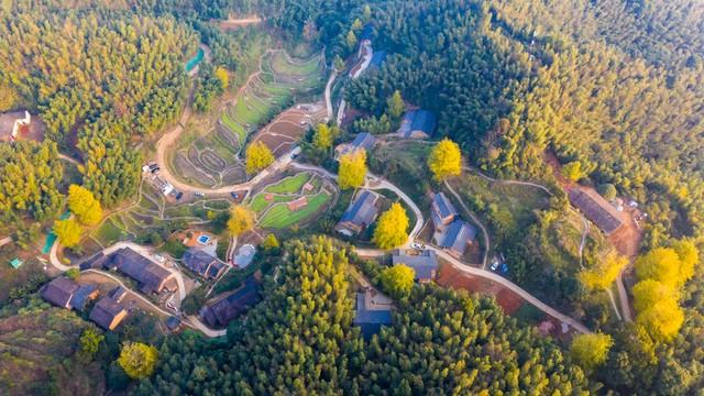 吉安秋色段位榜4条神仙路线，从入门到王者，收藏这篇就够了