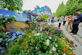 一园览尽90个花园，600余种月季争艳，武汉世界花园大会启幕图片