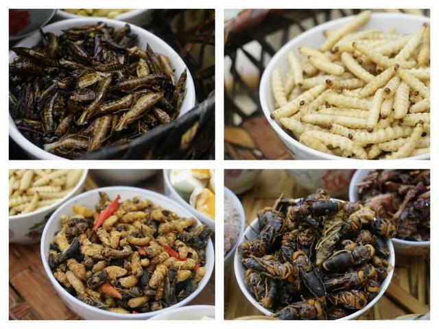 这个元旦，来元阳观赏梯田光影，参加百米长街宴吧