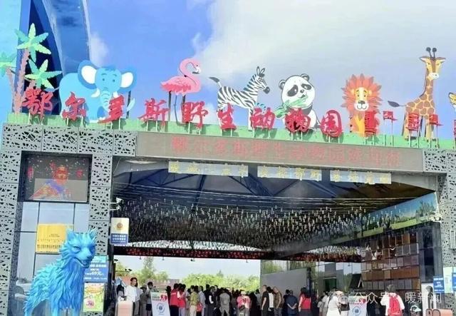 免费游园！鄂野发通知啦！