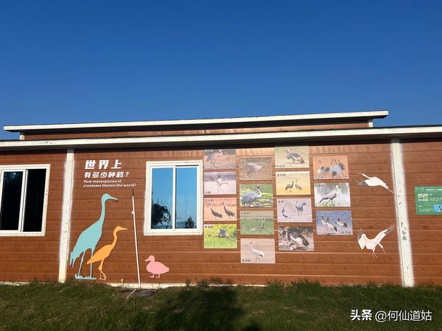 吴城狮子山观鸟