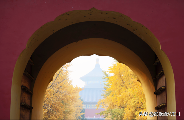 摄影掌握这5个框架构图法，手机也能拍出大片感