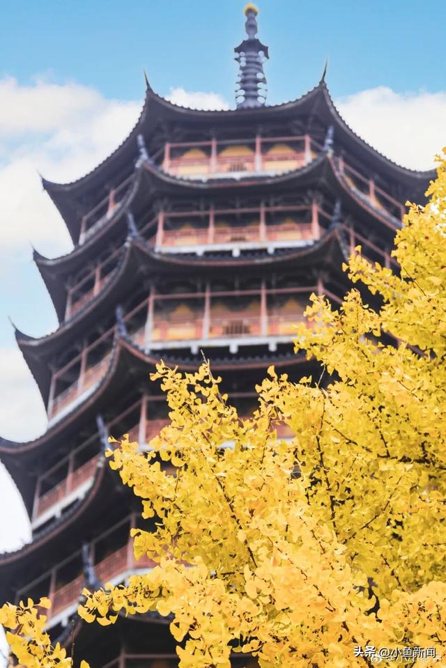 金色的苏州，开始了！