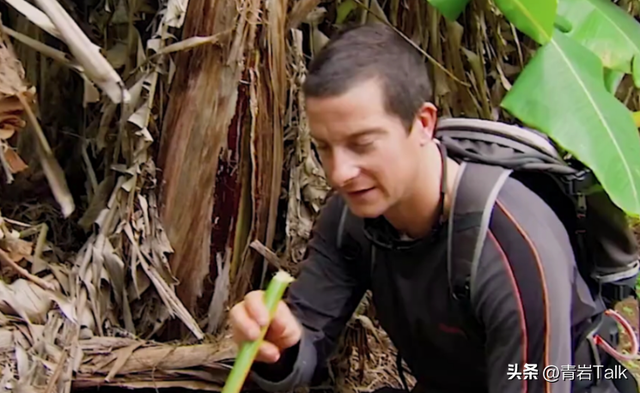 “终南捷径”咋来的？卢藏用隐居终南山，把避世变成“求职跳板”