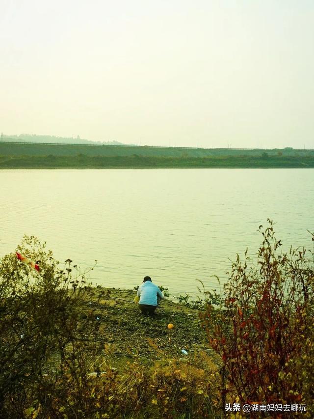 0.5H直达长株潭私藏“小白洋淀”，荻花摇曳处解锁老船厂遛娃秘境！