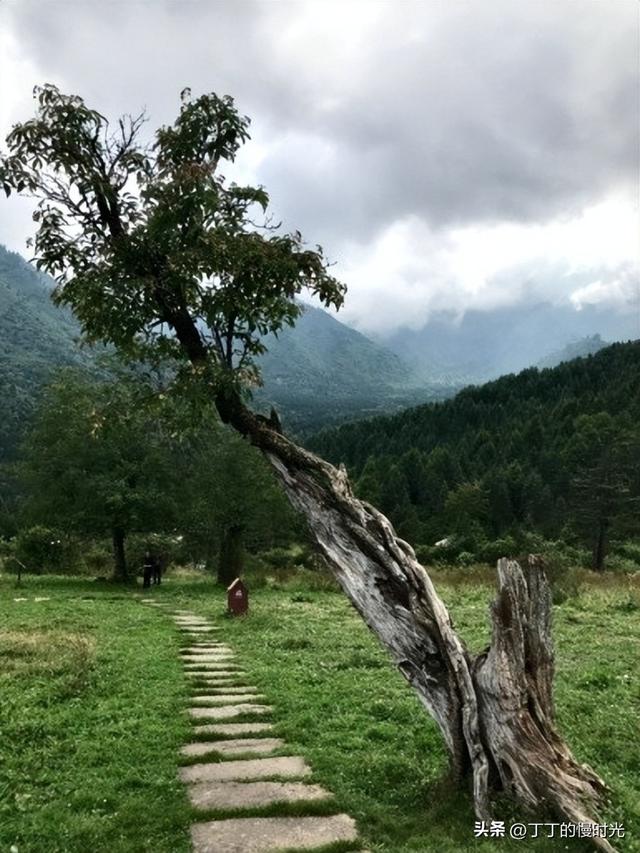 到雅安宝兴避暑，不同的风景带给我不同的感悟