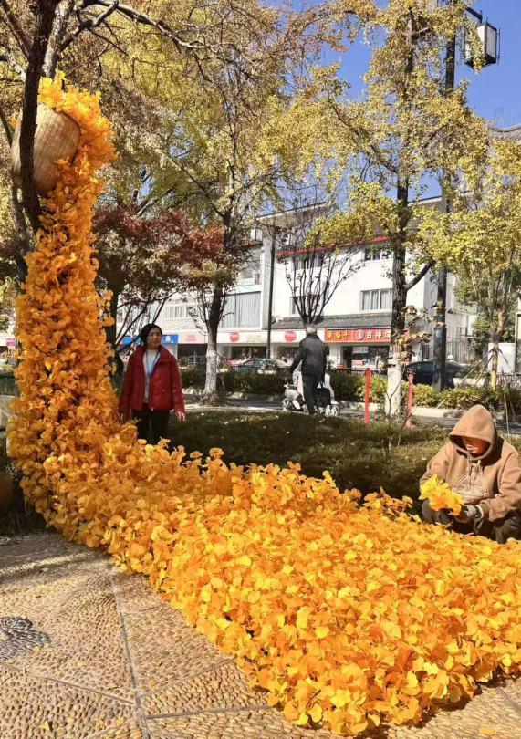 从“不扫”变“缓扫”，苏州用十五年守护秋日温暖！