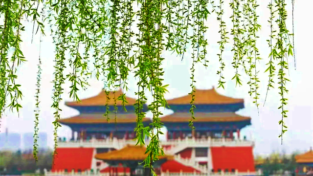 豫见清明上河园｜中原文旅崛起的全国范例