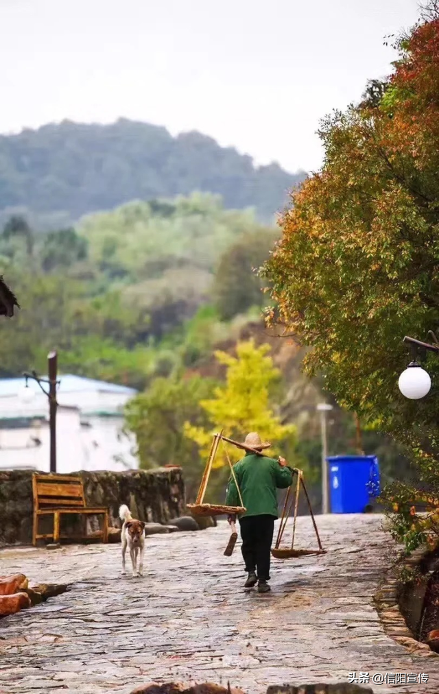 秋色正斑斓！信阳赏秋打卡地推荐