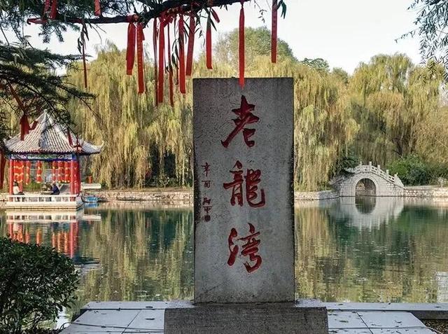 这个假期，潍坊临朐喊你来看演唱会，跑马免费游景区！