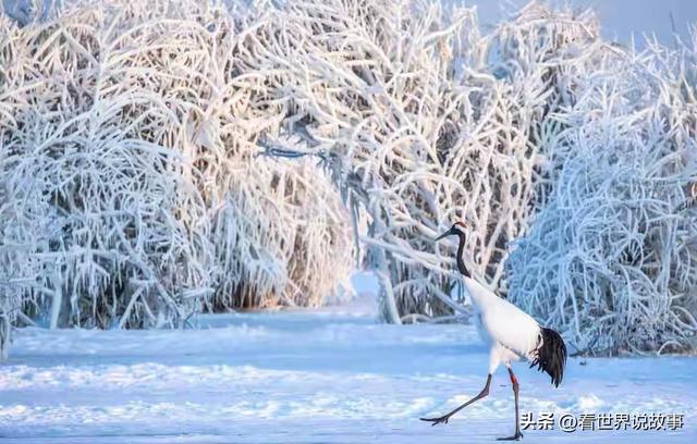 “不怕立冬晴一天，就怕立冬一天雨”，今日立冬，雨天有啥预兆？