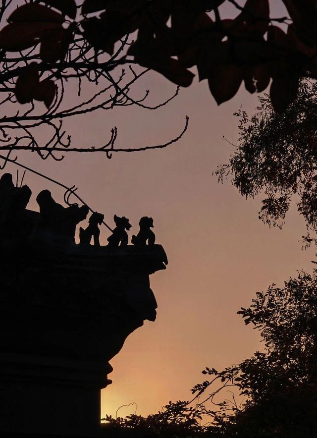 出片率100%！是时候来“京西小故宫”，邂逅一抹银杏黄